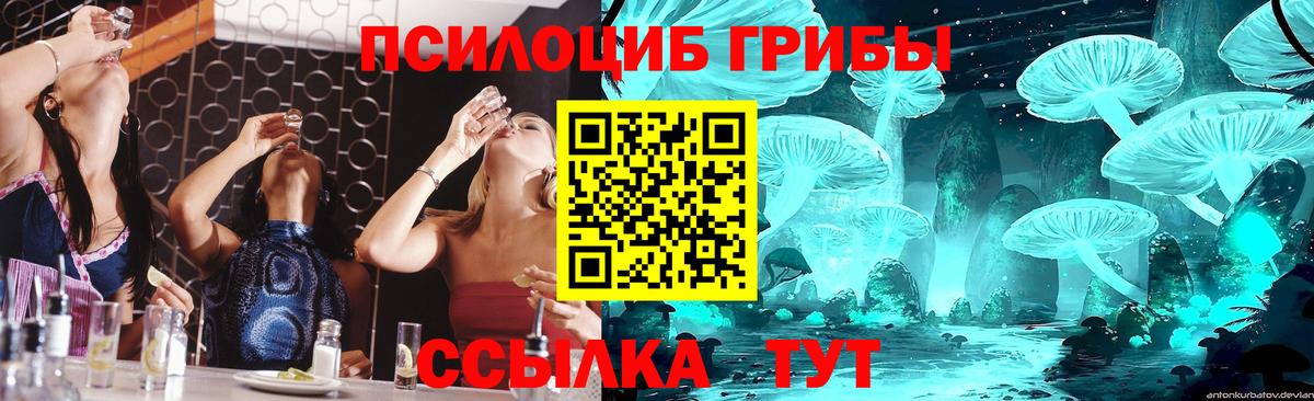 Семилуки  Псилоцибиновые грибы прущие грибы  Вход с VPN  Галлюциногенные грибы MAGIC MUSHROOMS 